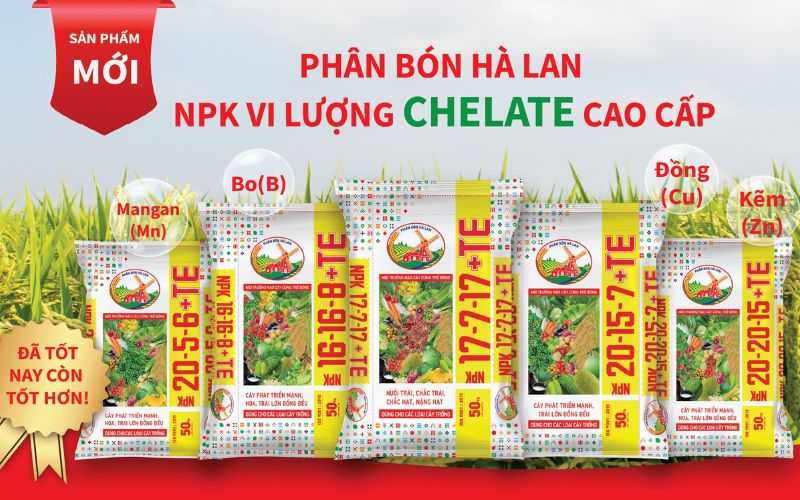 Công ty phân bón Hà Lan