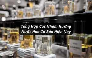 các nhóm hương nước hoa