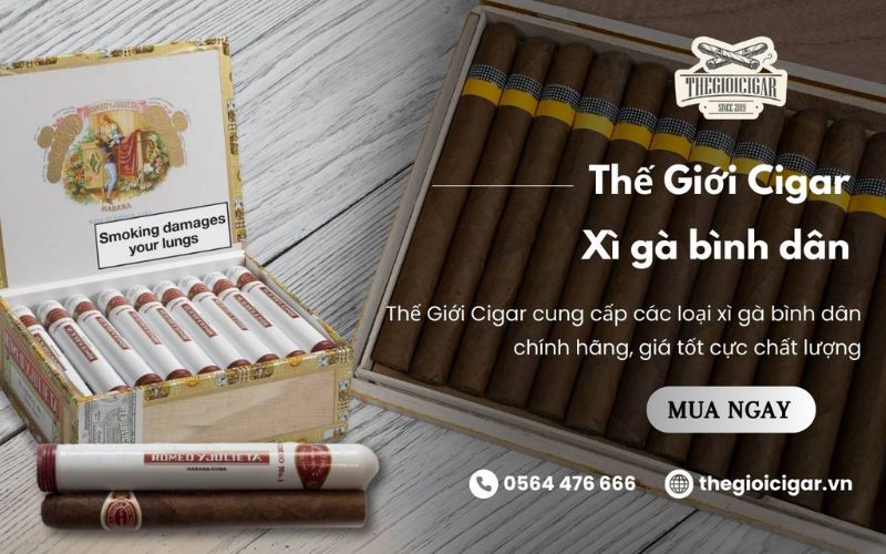 địa chỉ mua xì gà chất lượng