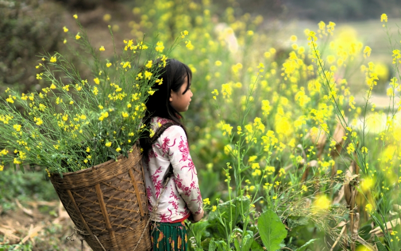 Làm thế nào chọn tháng lý tưởng đi Hà Giang
