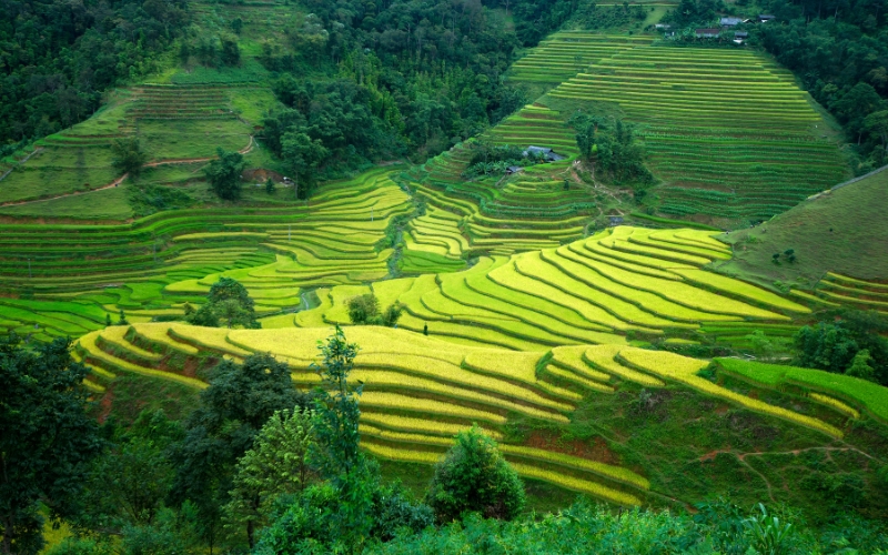 Mùa hè xanh mướt và sôi động