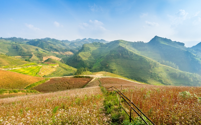 Thu vàng trên ruộng bậc thang