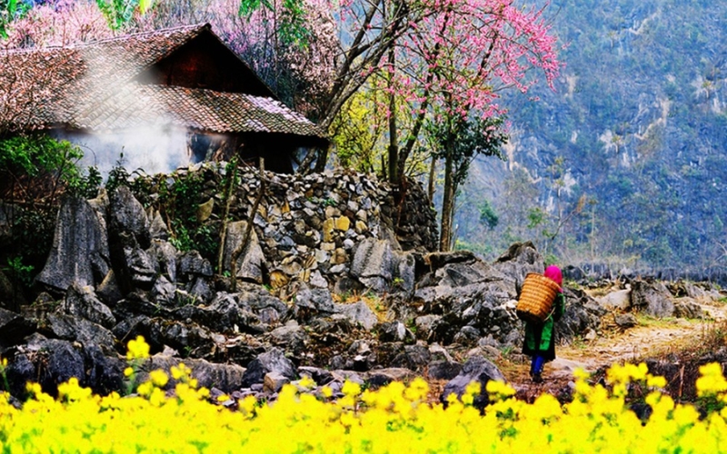 Xuân về trên cao nguyên đá